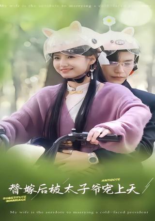 短剧替嫁后被太子爷宠上天海报