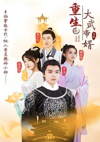 短剧重生之大武帝婿海报