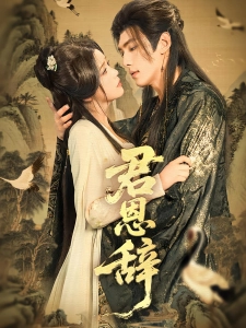 短剧君恩辞海报