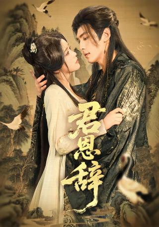 短剧君恩辞海报