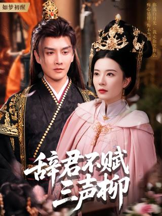 短剧辞君不赋三声柳海报