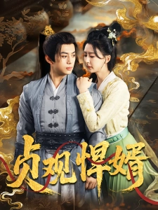 短剧贞观悍婿海报