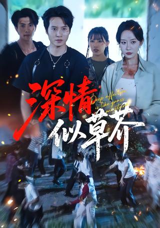 短剧深情似草芥海报