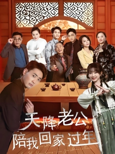 短剧天降老公陪我回家过年海报