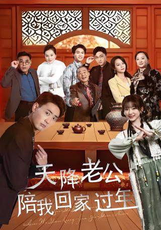 短剧天降老公陪我回家过年海报