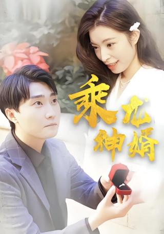 短剧乘龙神婿海报