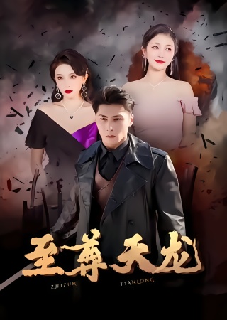 短剧至尊天龙海报