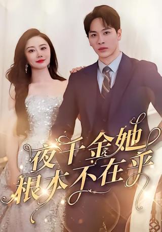 短剧夜千金她根本不在乎海报