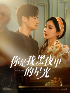 短剧你是我黑夜里的星光海报