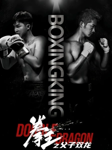 短剧拳王之父子双龙海报