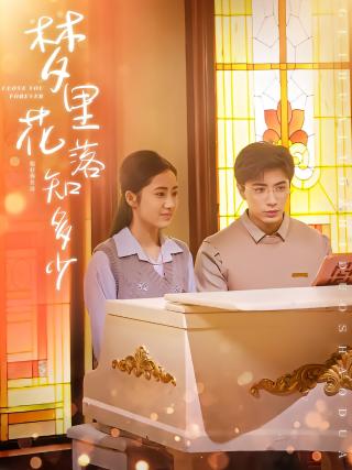 短剧梦里花落知多少海报