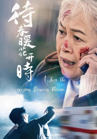 短剧待春暖花开时海报