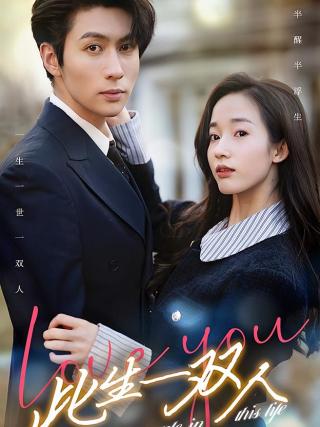 短剧此生一双人海报