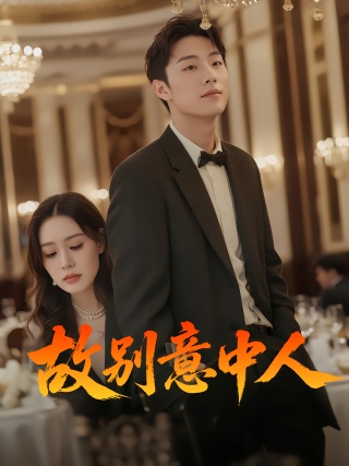 短剧故别意中人海报