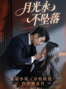 短剧月光永不坠落海报