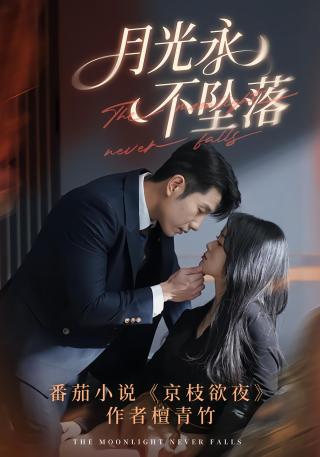 短剧月光永不坠落海报