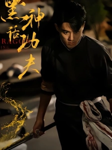 短剧黑神话功夫海报