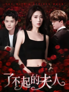 短剧了不起的夫人海报