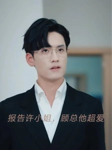 短剧报告许小姐，顾总他超爱海报