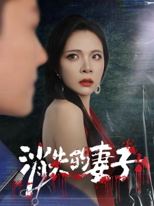 短剧消失的妻子海报