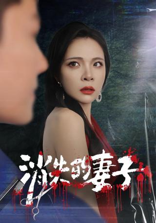 短剧消失的妻子海报