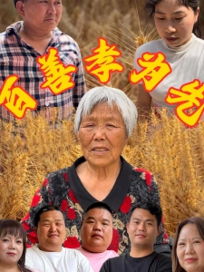 短剧百善孝为先海报