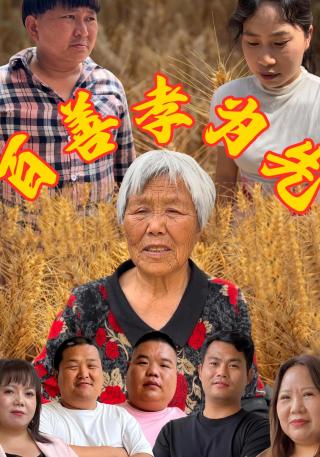 短剧百善孝为先海报