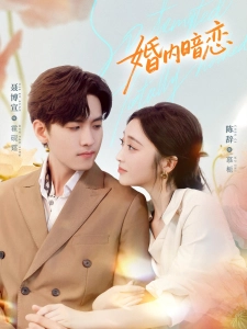 短剧婚内暗恋海报