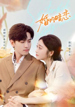 短剧婚内暗恋海报