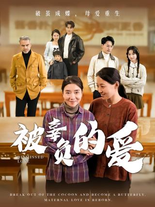 短剧被辜负的爱海报