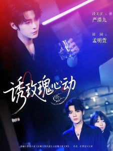 短剧诱玫瑰心动海报