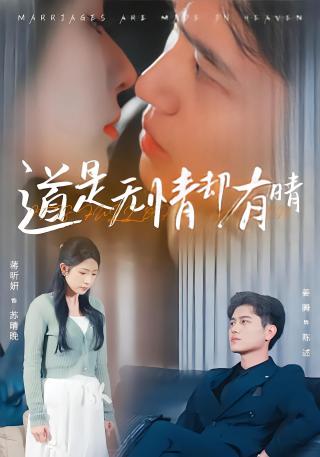 短剧道是无情却有晴海报