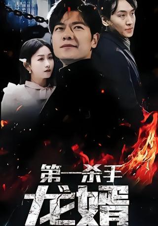 短剧第一杀手龙婿海报