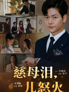 短剧慈母泪，儿怒火海报