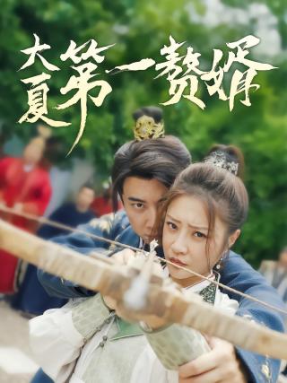 短剧大夏第一赘婿海报