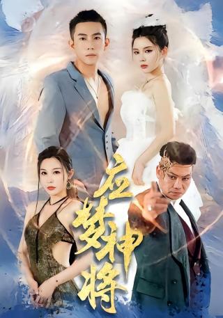 短剧应梦神将海报