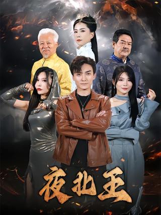 短剧夜北王海报