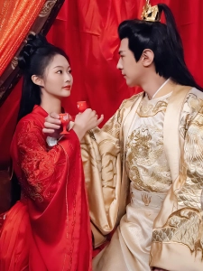 短剧皇帝的神医宠妃海报