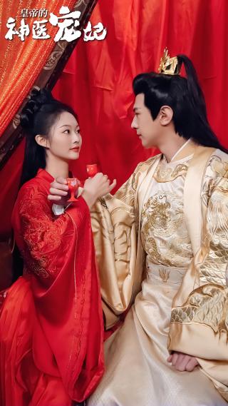 短剧皇帝的神医宠妃海报