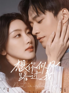 短剧想你似风路过我海报