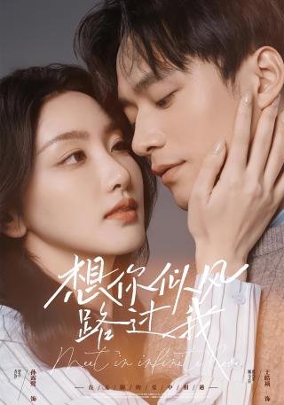 短剧想你似风路过我海报