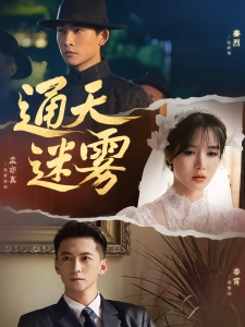 短剧通天迷雾海报