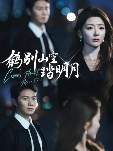 短剧鹤别山空踏明月海报