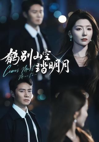 短剧鹤别山空踏明月海报