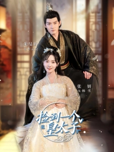 短剧捡到一个皇太子海报