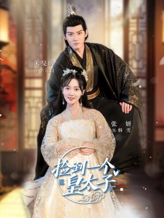 短剧捡到一个皇太子海报