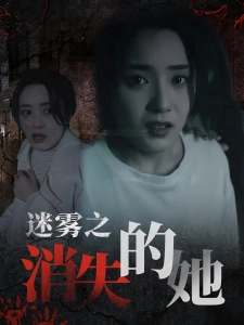 短剧迷雾之消失的她海报