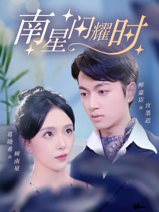短剧南星闪耀时海报