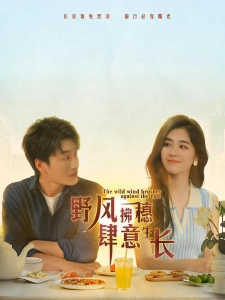 短剧野风拂穗肆意生长海报