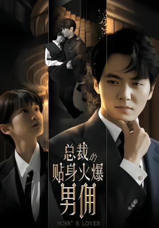 短剧总裁的贴身火爆男佣海报